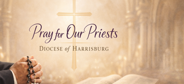 Pray for All Priests